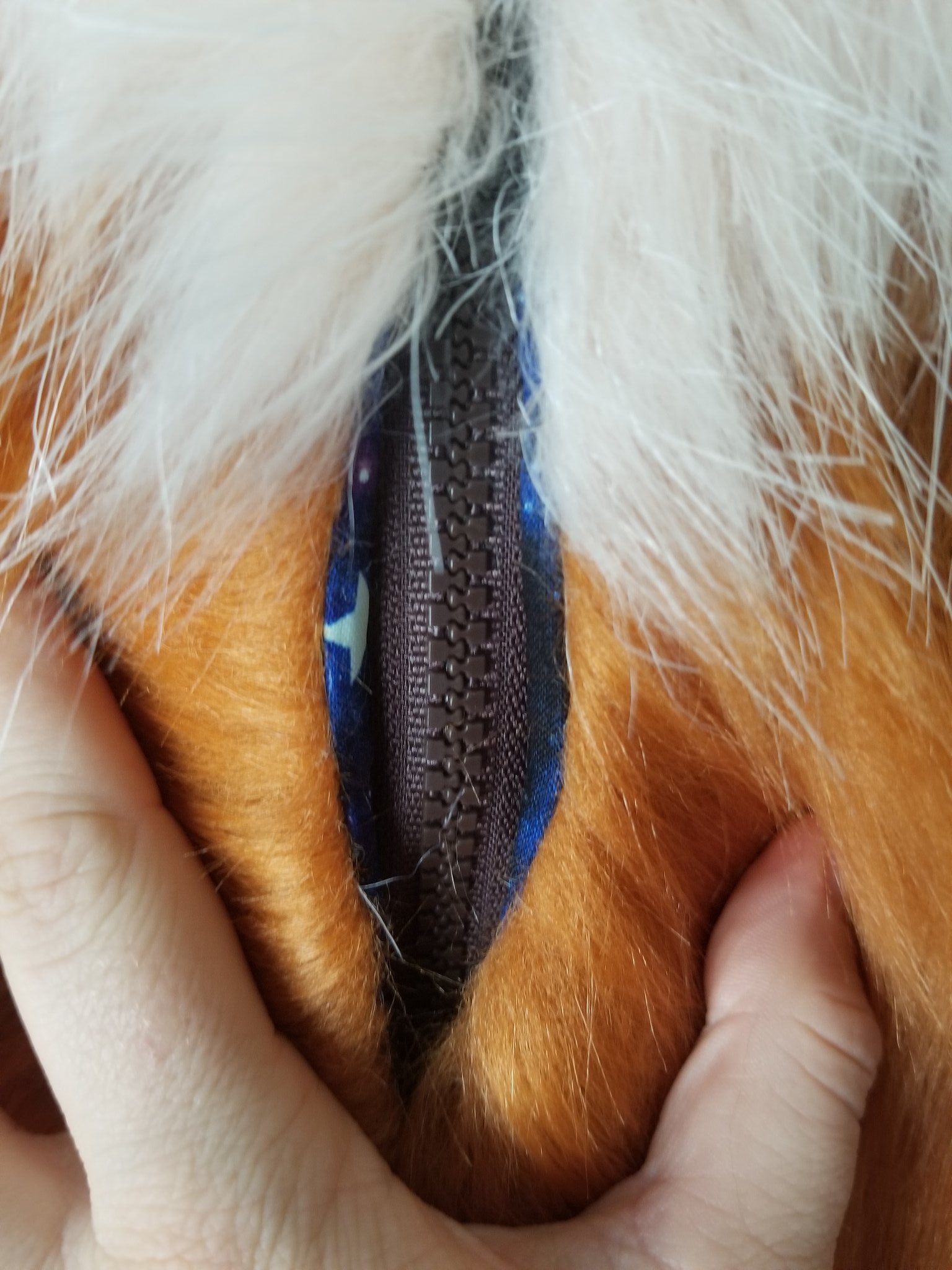 Star Fursuits on Twitter "Hidden zipper detail! This will now come standard on all of our suits