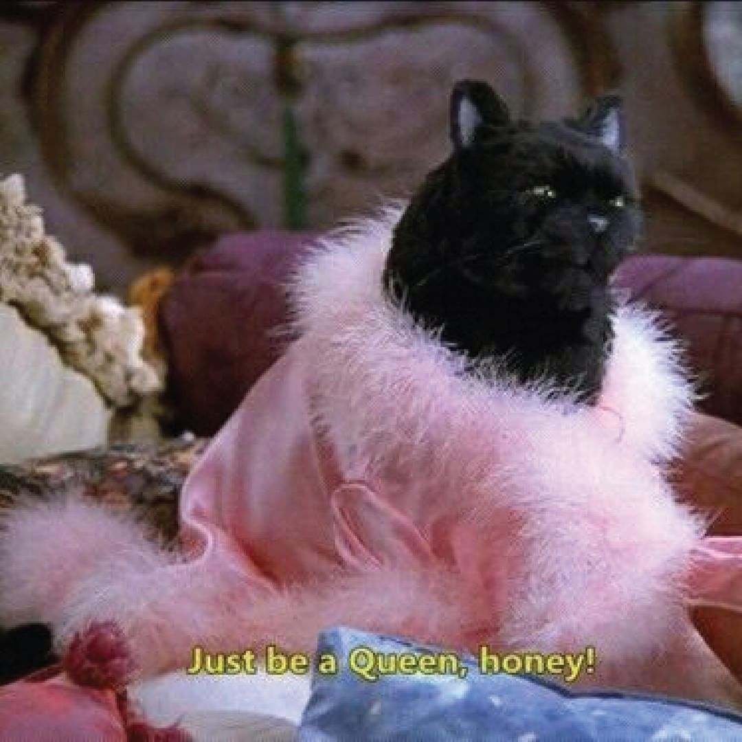 BehrmanPR's tweet image. #Friday mood. Be a queen!