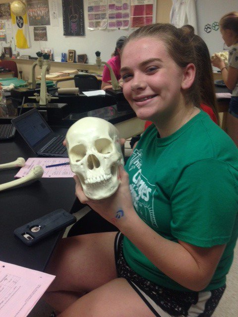 CareerExplo260's tweet photo. @DHS_Panthers students in the Human Body Systems course analyze "bones" like Forensic Anthropologists #isucceedwithCTE #PLTW https://t.co/KUJUumk9Ev