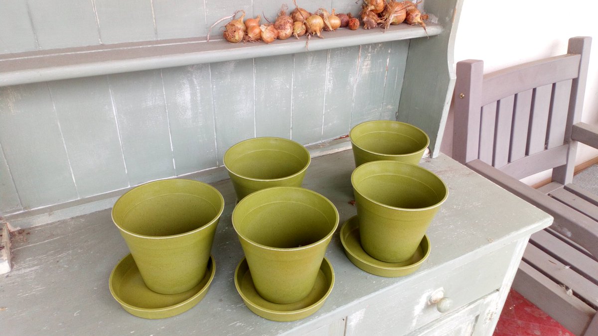 SimonAkeroyd's tweet image. Love these #plasticfree pots. Made from bamboo and rice, look beautiful and decompose in compost heap after use. #GardenersWorld