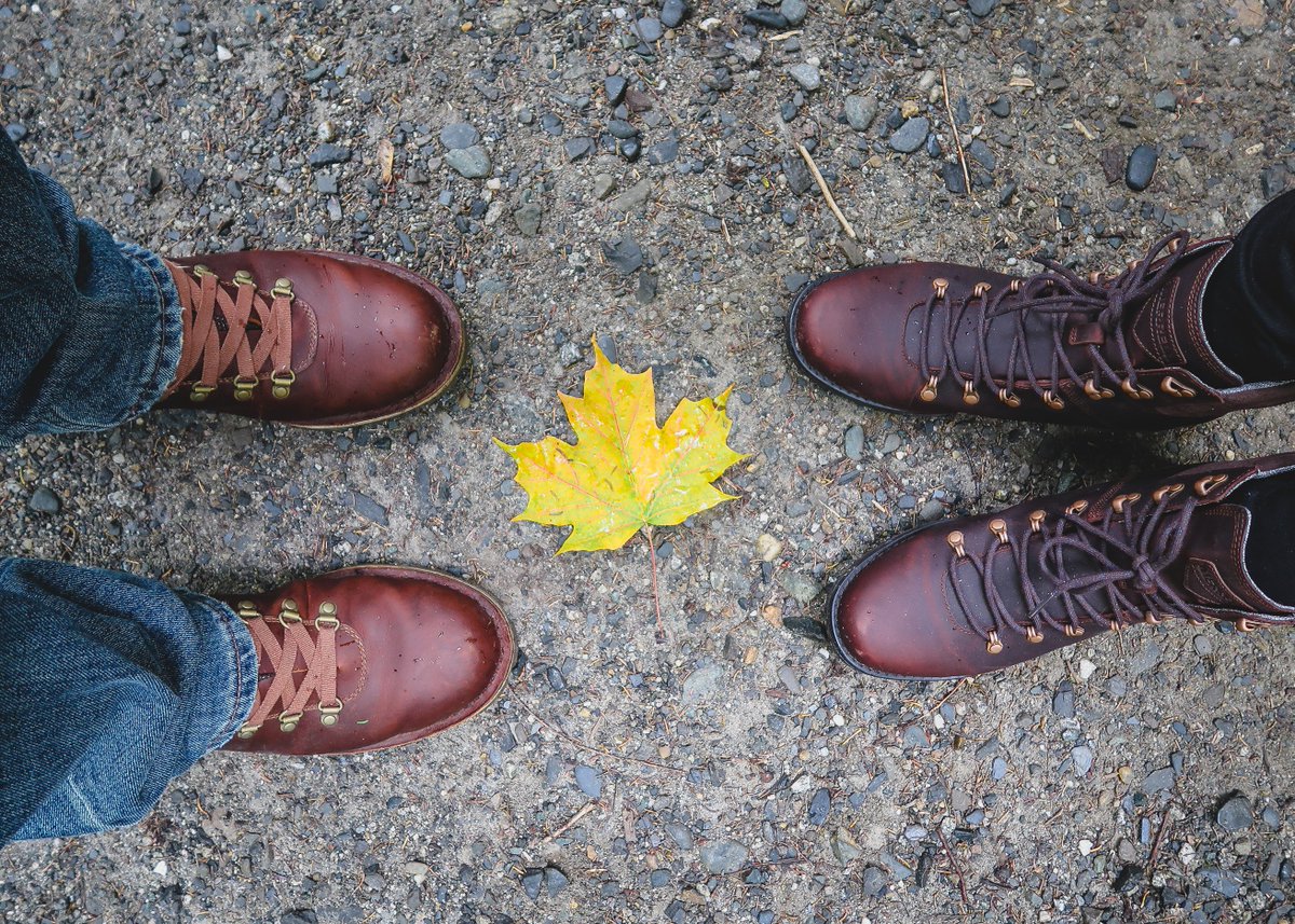 thatbackpacker's tweet image. A walk through the woods at Mont-Mégantic National Park in search of autumn treasure. 🍄🍃🍂 #CreateYourTrail #MerrellCanada #QuebecOriginal