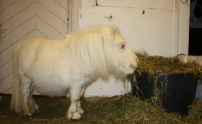 enemyhecarim myhecarim I did it. I made a bongonne Cat meeeeéét Cokkkkkmmk Ballssssss Fucki Cockeingballsssssssss
ssss😀👍