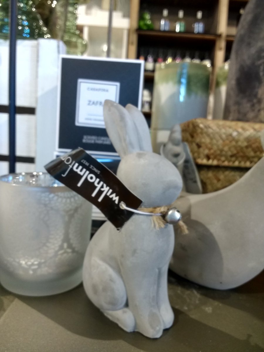 More #bunny paraphernalia. Didn't buy as M and D are living in a #caravan for the moment #anglesey #ynysmôn #orielmôn #art #gallery #blasmwy #rabbit #nosebumps