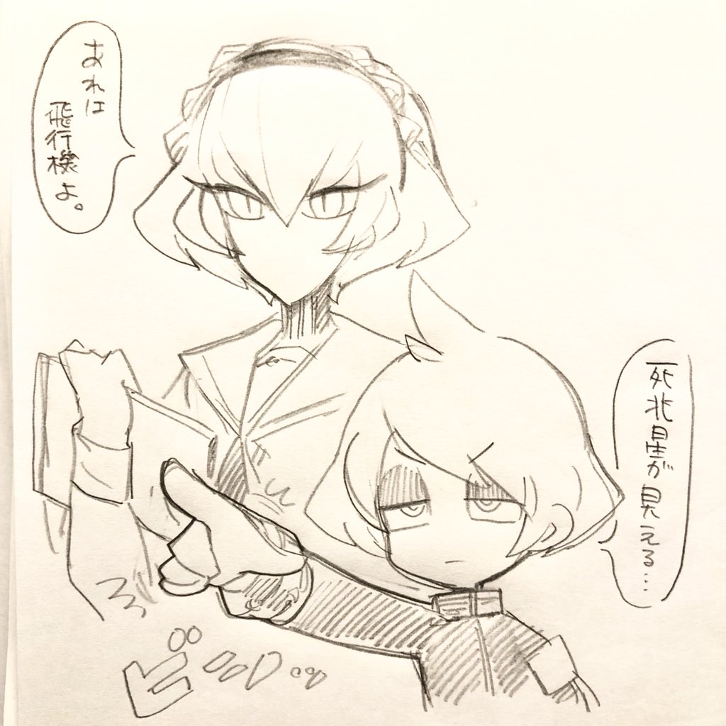 コスモ系の 