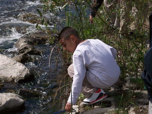 SCCNewsBeat's tweet photo. Nature Education for All! Check out natural and cultural awareness and conservancy programs through The Guadalupe River Park Conservancy!

➡ https://t.co/Das6pwrXhK

(photo via Guadalupe River Park Conservancy) https://t.co/EURehimRTV