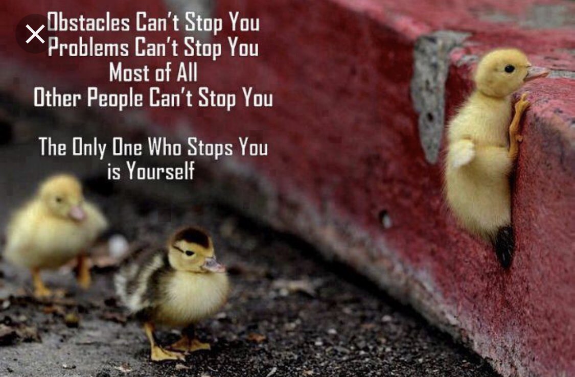 Friday’s Food for Thought! Thanks <a href="/nms_counselors/">NMS Counselors</a> for reframing our mindset this week, so that we focus on what we CAN control. <a href="/VenturaMrs/">MrsVenturaELA</a> <a href="/MrsKenneysClass/">Mrs. Kenney</a> @AroccioN #PositivelyPennDelco