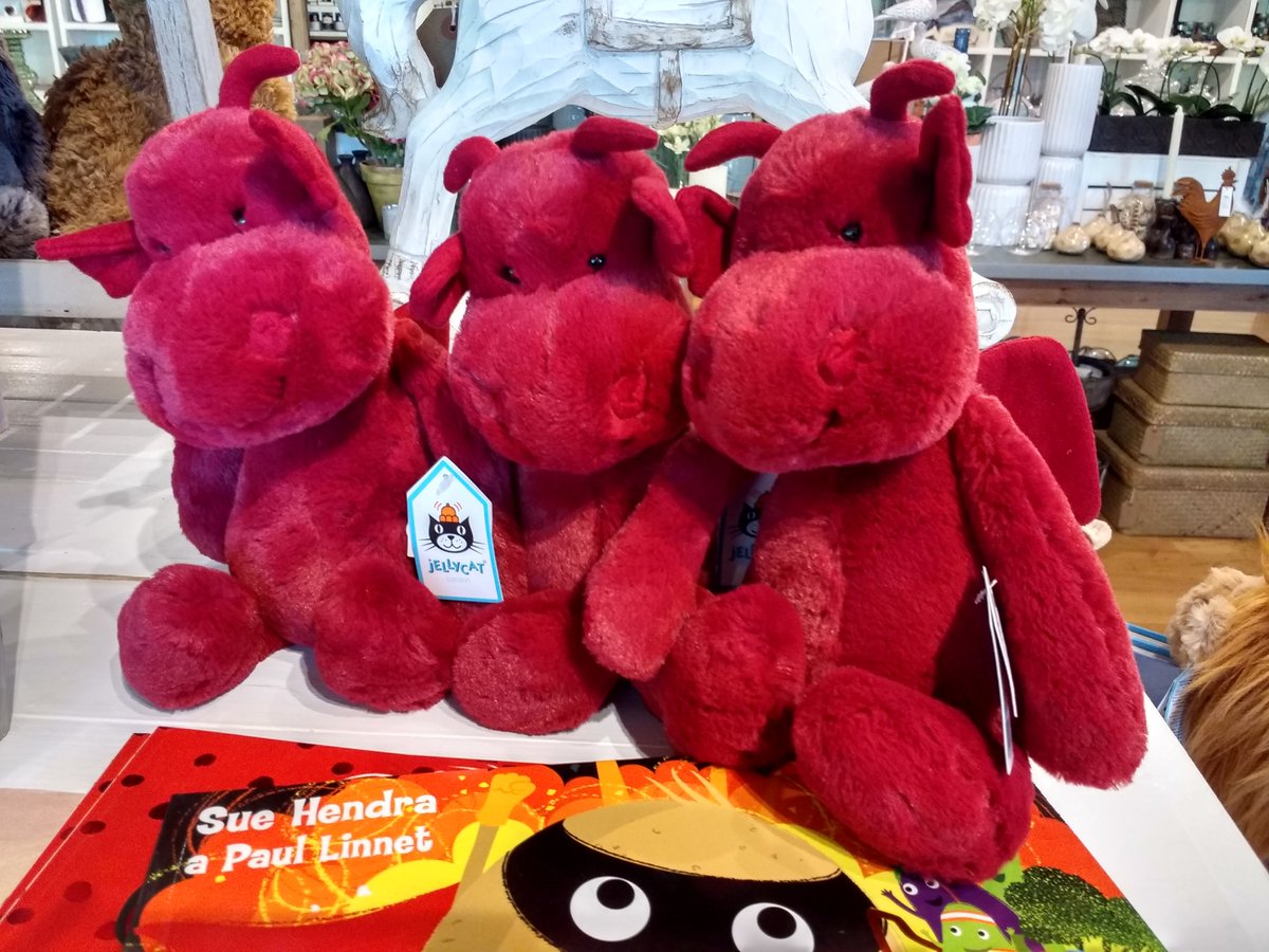 Who knew #jellycat made #reddragons #yddraiggoch? #nosebumps #ynysmôn #anglesey #cymru #nosebumps #orielmôn #art #gallery #siop