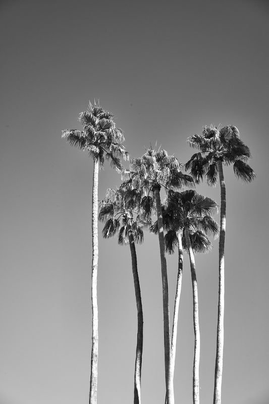 Today is the last day of summer. But don’t worry! It’s not goodbye, it’s see you later. Relive your warmest days &amp; memories with these shots from #GentlAndHyers for <a href="/TommyBahama/">Tommy Bahama</a>. (They’ll also be here in January if you need them). ☀️ bit.ly/2MTmW0l