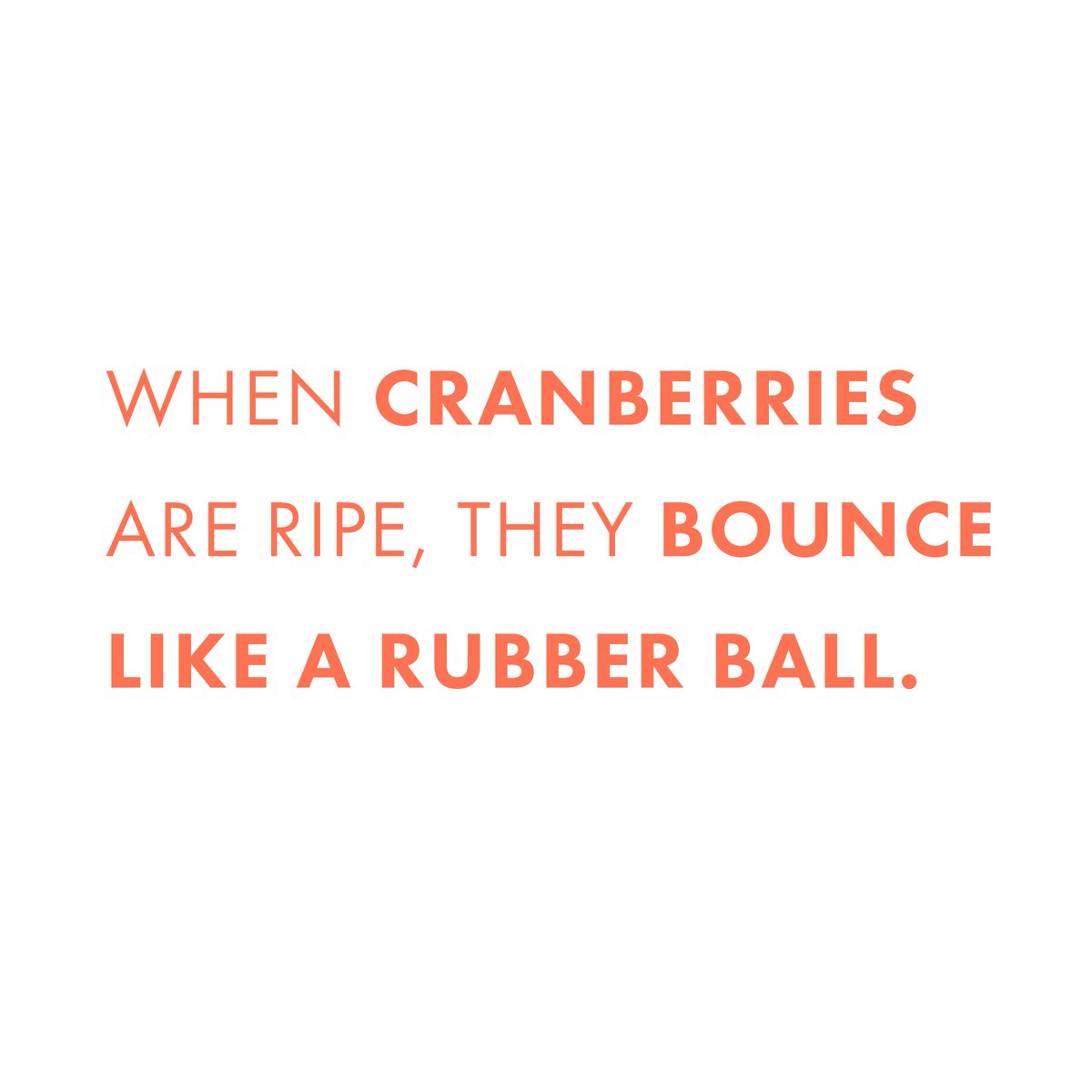 thrivercompany's tweet image. 😲😲😲! Our team is going to try it out... you should too!

#Platterz #FunFact #FunFoodFact #Food #FoodLovesCompany