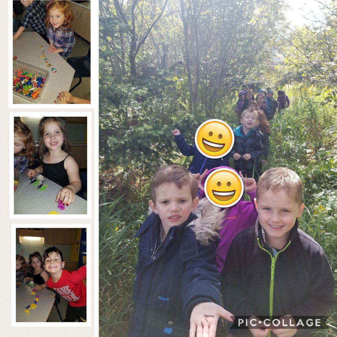 MKindergartens's tweet photo. Today we began to learn about patterning. We then used our outdoor environment to look for rocks and sticks that we will pattern next week. #ABpatterns #outdoorexplorers #usingnaturetolearn @StTeresasSchoo1 https://t.co/nAknULkgQx