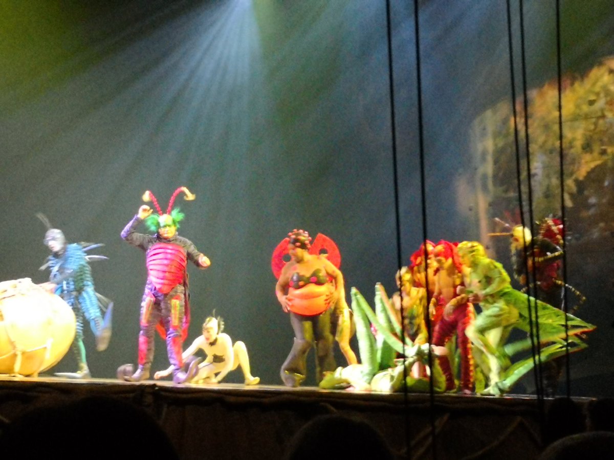Debra Falkingham (@debfalk9) on Twitter photo #OVOCirque #OVOCirque