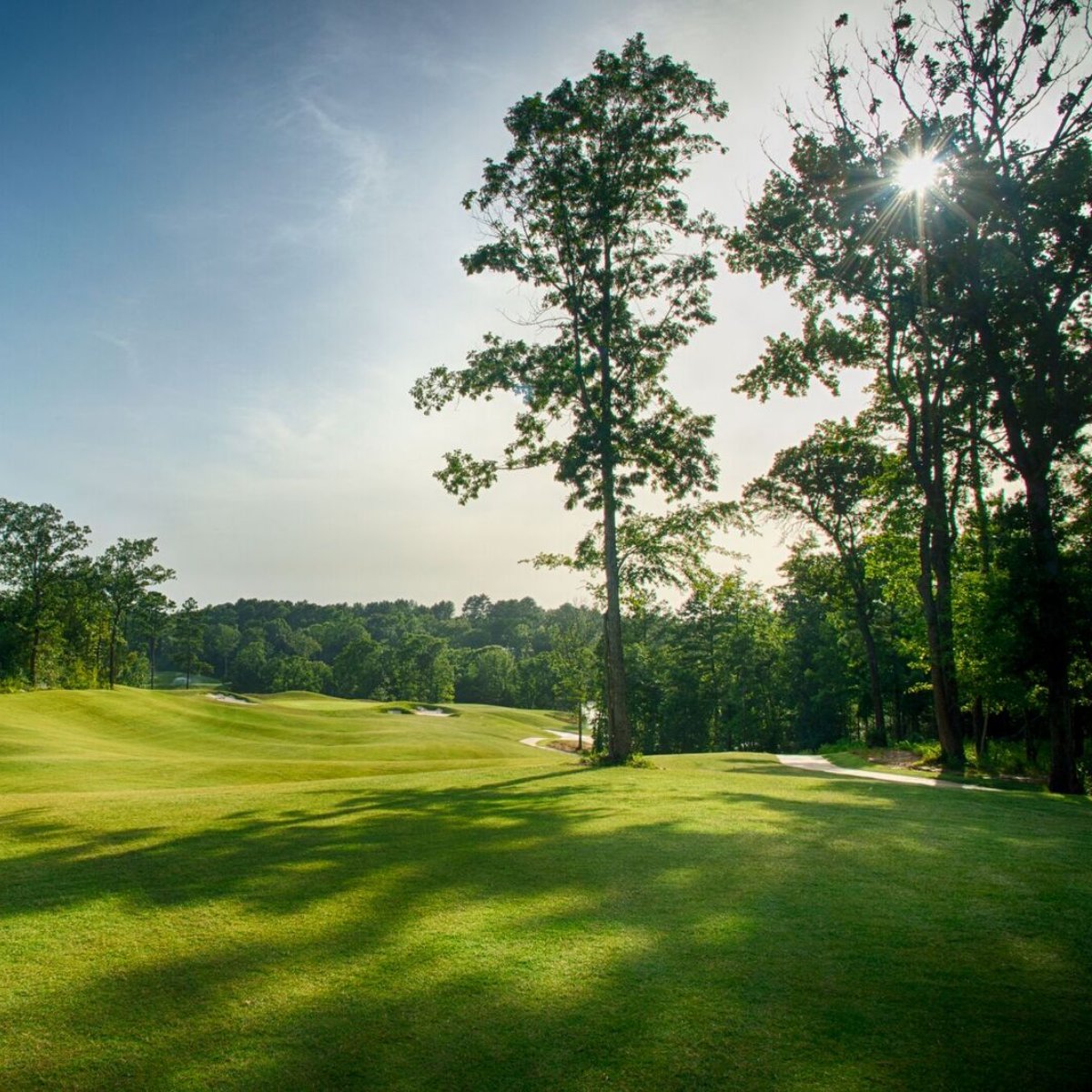 So fresh and so green.