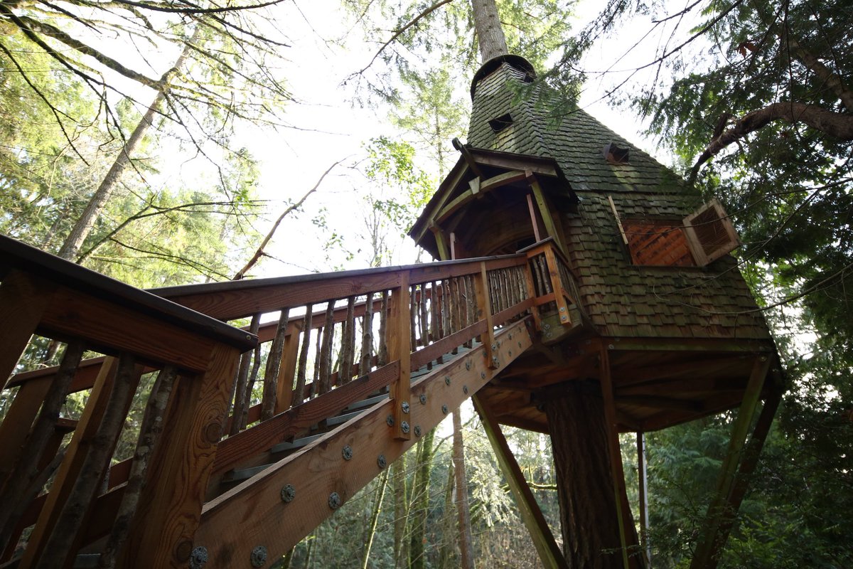 AnimalPlanet's tweet image. Pull up a seat by the campfire for #TreehouseMasters: View from Above IV tonight at 9p!