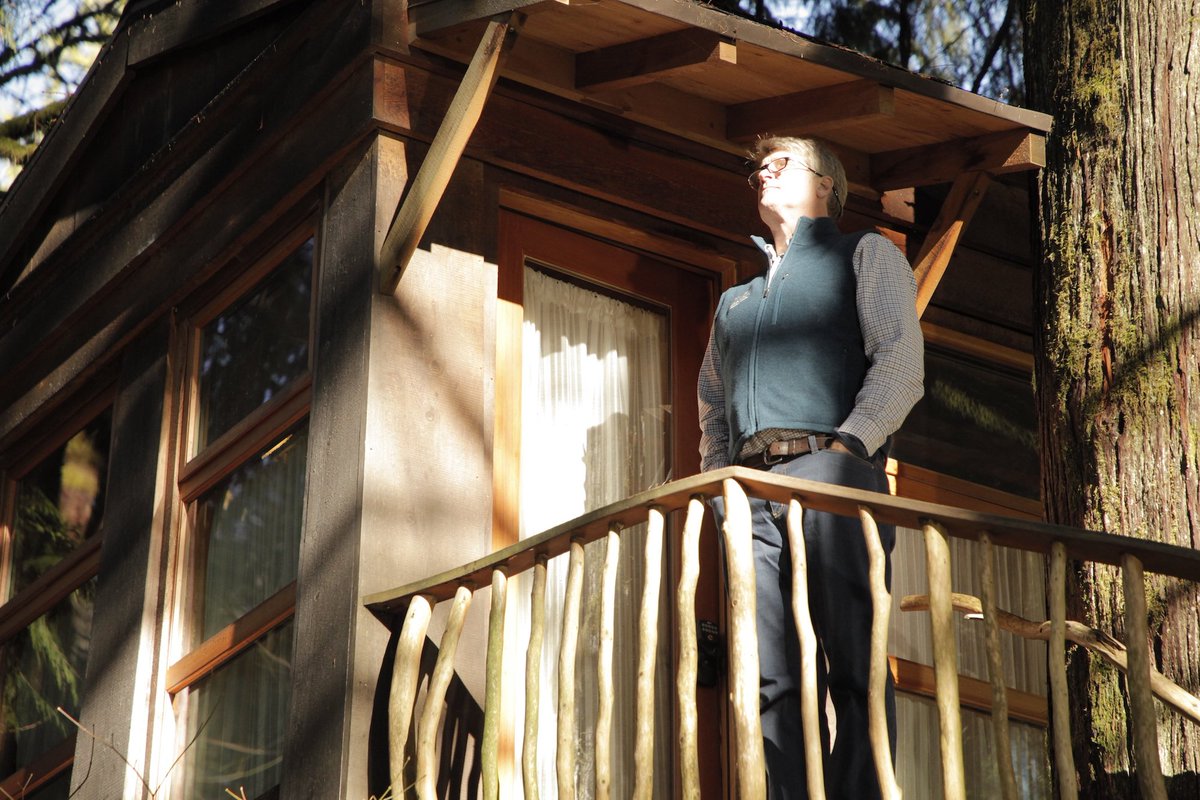 AnimalPlanet's tweet image. Pull up a seat by the campfire for #TreehouseMasters: View from Above IV tonight at 9p!