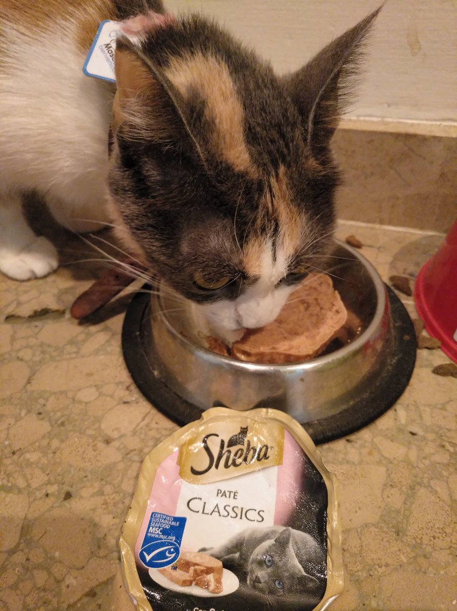 vickysema's tweet photo. Que rica esta la comidita https://t.co/1U14Jcei4q