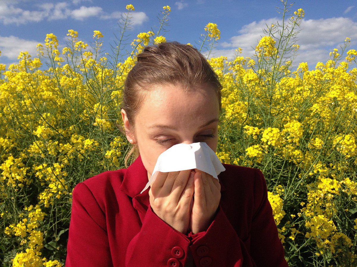 It is ragweed season. If you find your allergies are bad, even while inside the house, your ducts may need a thorough cleaning. We can help! 631.652.6300.
#Allergies #Allergic #LongIsland #Fall #Ragweed #MIghtyDucts