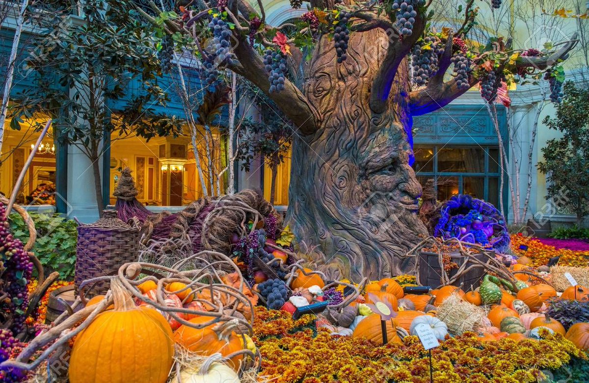 Tomorrow is the first day of autumn. Respond to this post with your favorite thing about this time of year! #WBPestControl