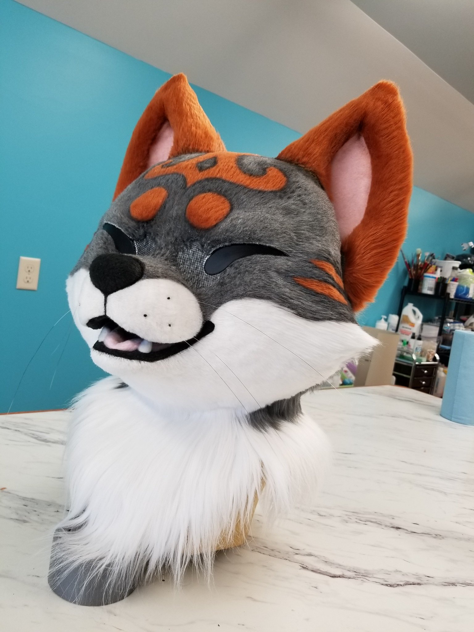 Panda the Cat on Twitter: "And to go with the video I have some photos