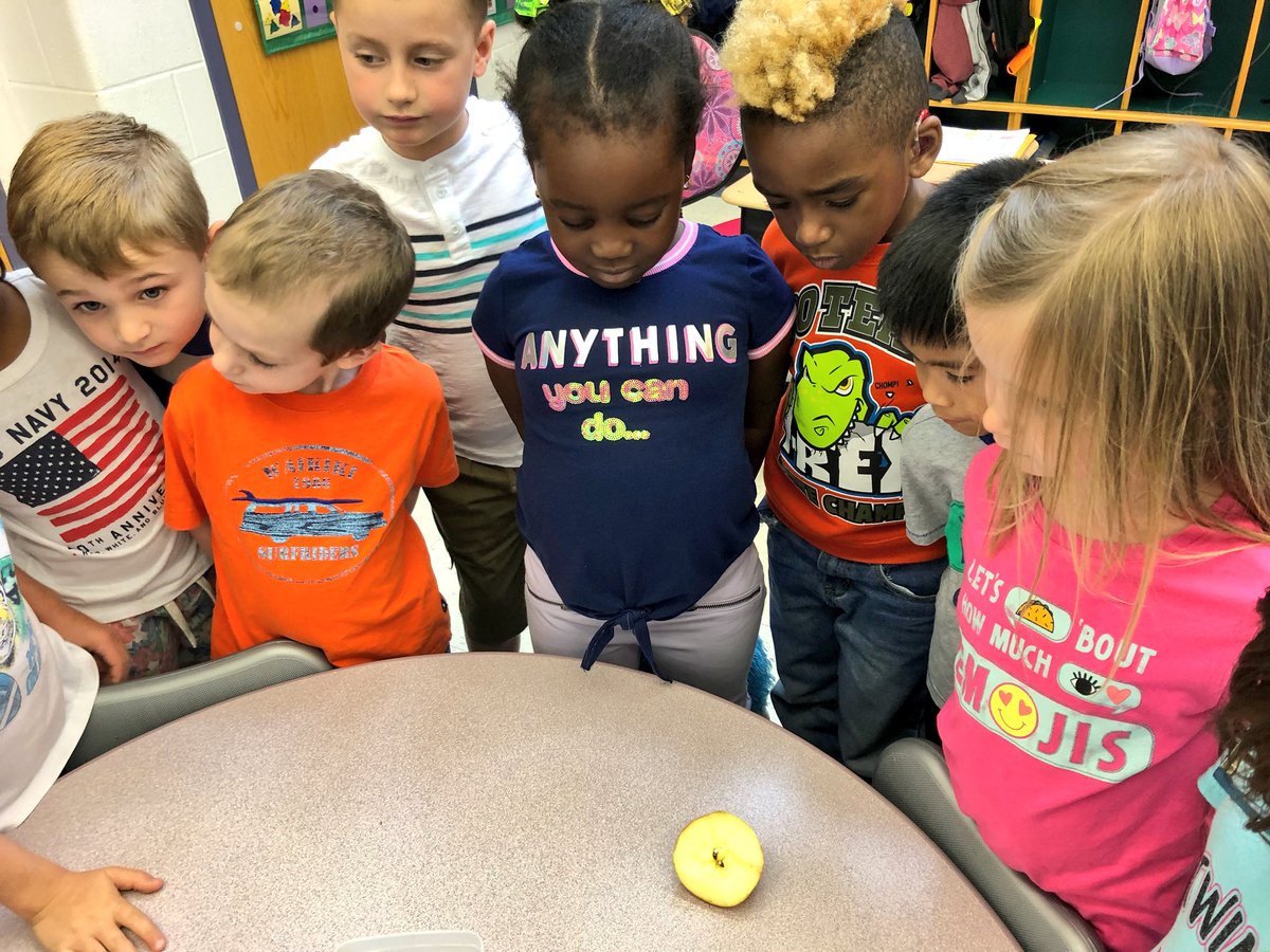 ScovillSmarties's tweet image. Today we put our science hats on! 🍎🔎🍏 #sinkorfloat #younginvestigators @CatenaColts