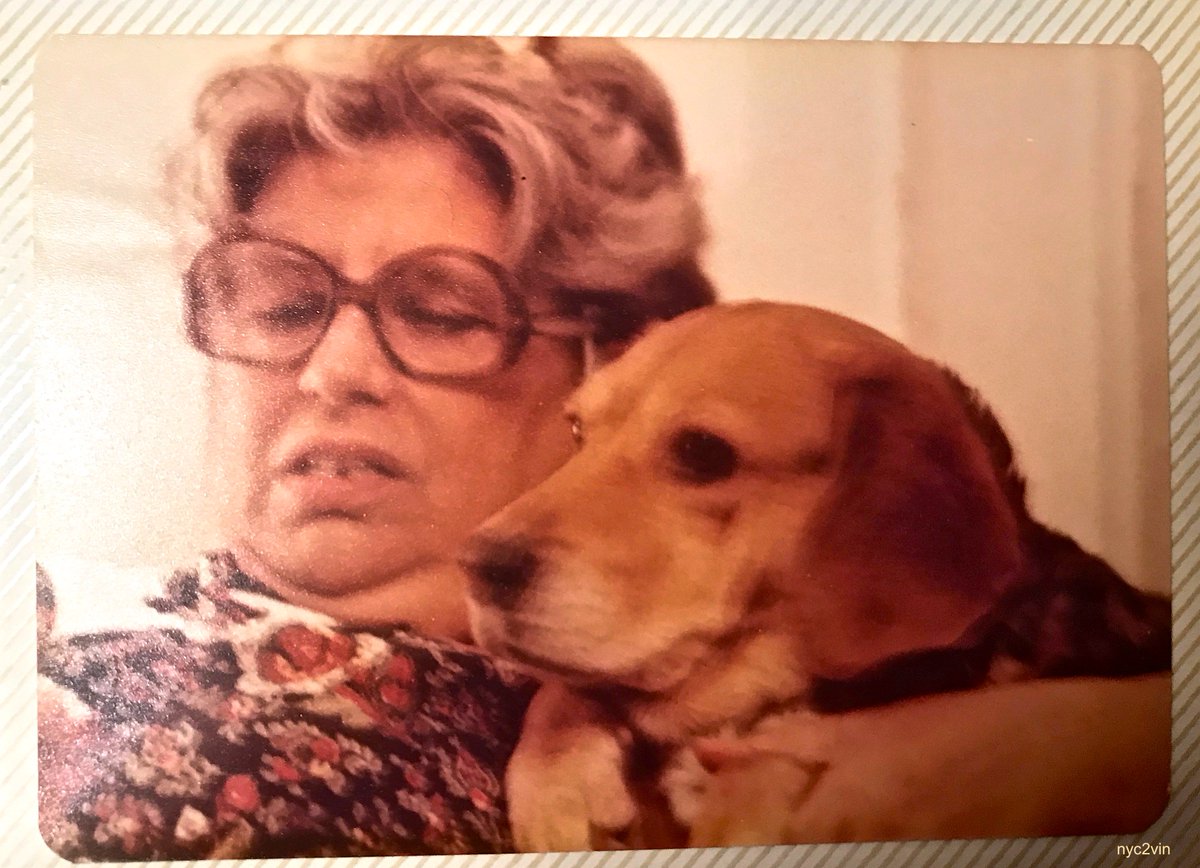 DementiaMama's tweet photo. Mama Always Loved Her Dogs #FlashBackFriday Later on in Her Life, Pet #Therapy was Essential ๐#FridayFeeling #Memories #EndAlz #EveryThreeSeconds @Hilar4Charity @AlzNorCalNorNev @alzassociation @AlzheimersLA @IamLaurenMiller ๐ https://t.co/DQk8uNNLmw