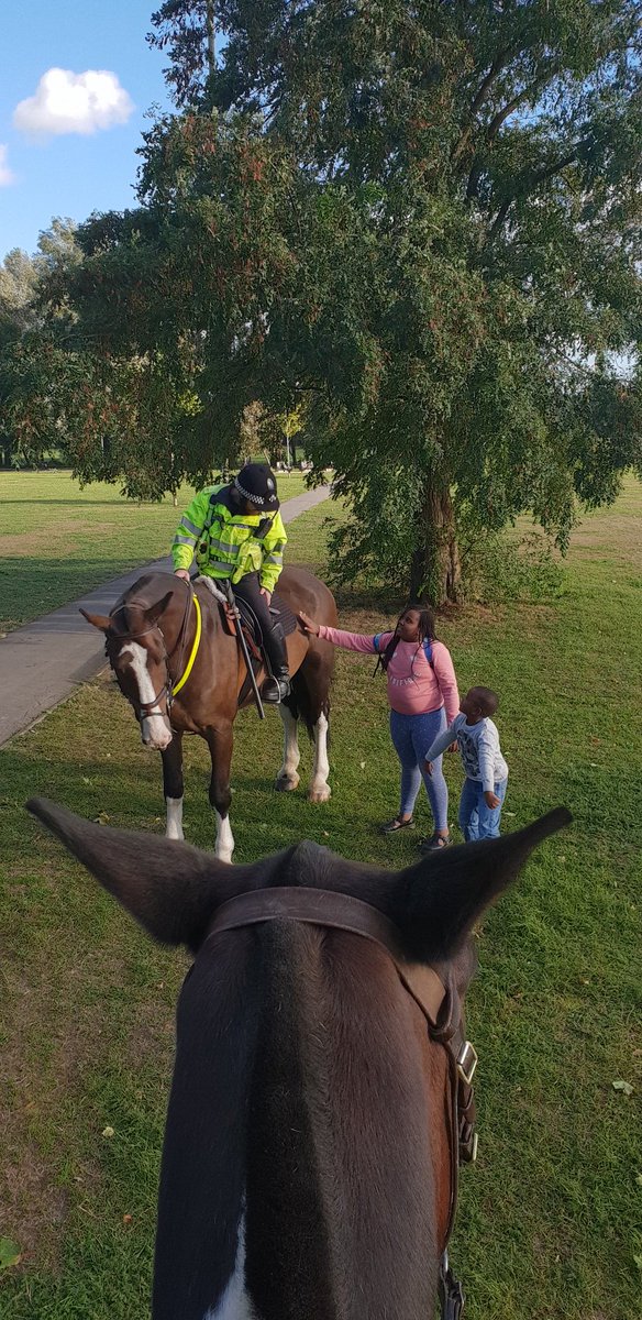 TVP_horses's tweet photo. Whilst Atlas & Trojan were on patrol in Blackbird Leys, Oxford they were asked to put on their dancing shoes & learn 'The Floss' with this young man! πΊ#Needmorepractise P1686 https://t.co/V4BrLRm3EO