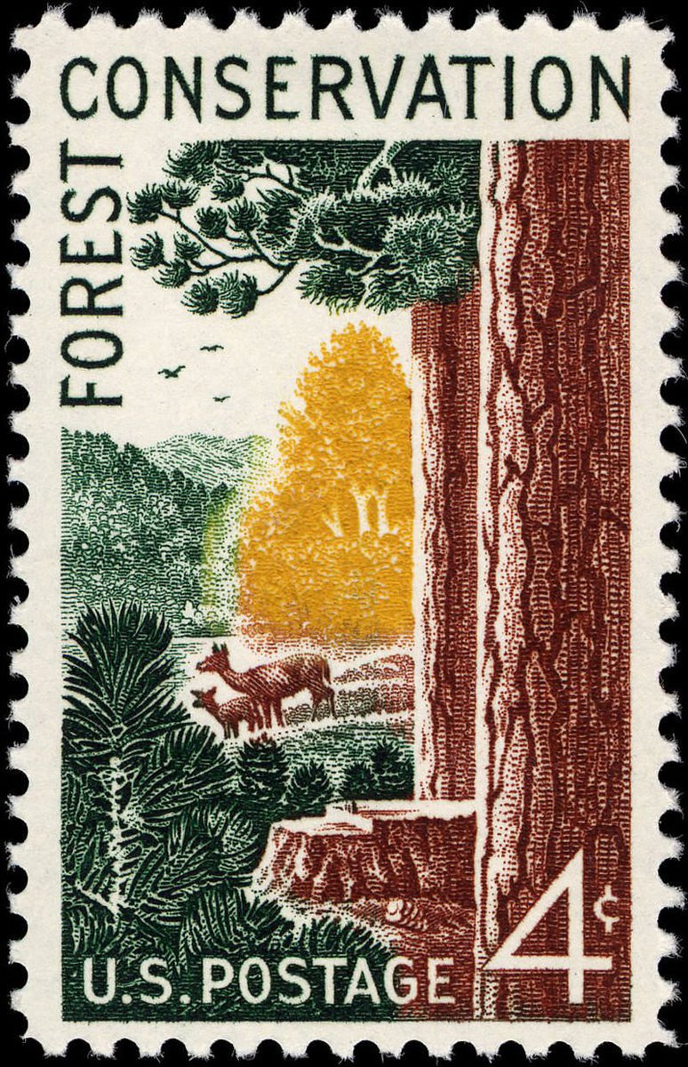 kansashistory's tweet photo. Rudy Wendelin, born in Herndon in Rawlins County, made hundreds of paintings of Smokey the Bear for the U.S. Forest Service. He also made postage stamps for the forest service.  
https://t.co/bBlx1zqTIO #kansashistory #yourstories #yourcounty #rawlinscounty #forestservice https://t.co/ajcHxx1pl3