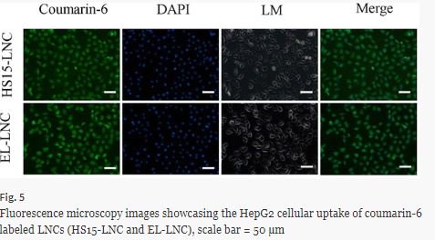 AAPSComms's tweet photo. Antitumor efficacy of cisplatin improved in hepatocellular carcinoma using lipid nano-capsules #AAPSPT https://t.co/totrjaHXDY #AAPS2018 https://t.co/lyDrs1hFV0