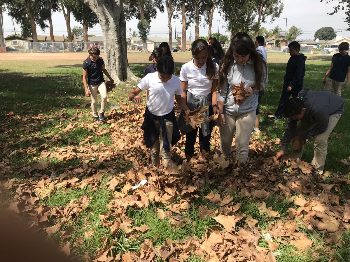 MsMartinez6th's tweet photo. In honor of the first day of fall being tomorrow, our class went on a little nature walk to gather some leaves for an art project and to enjoy the beautiful day! #fallart #room29 #msmarttinez #twi #HESDpride #HornetPride #GreenJHS https://t.co/sAQrQI1Bt8