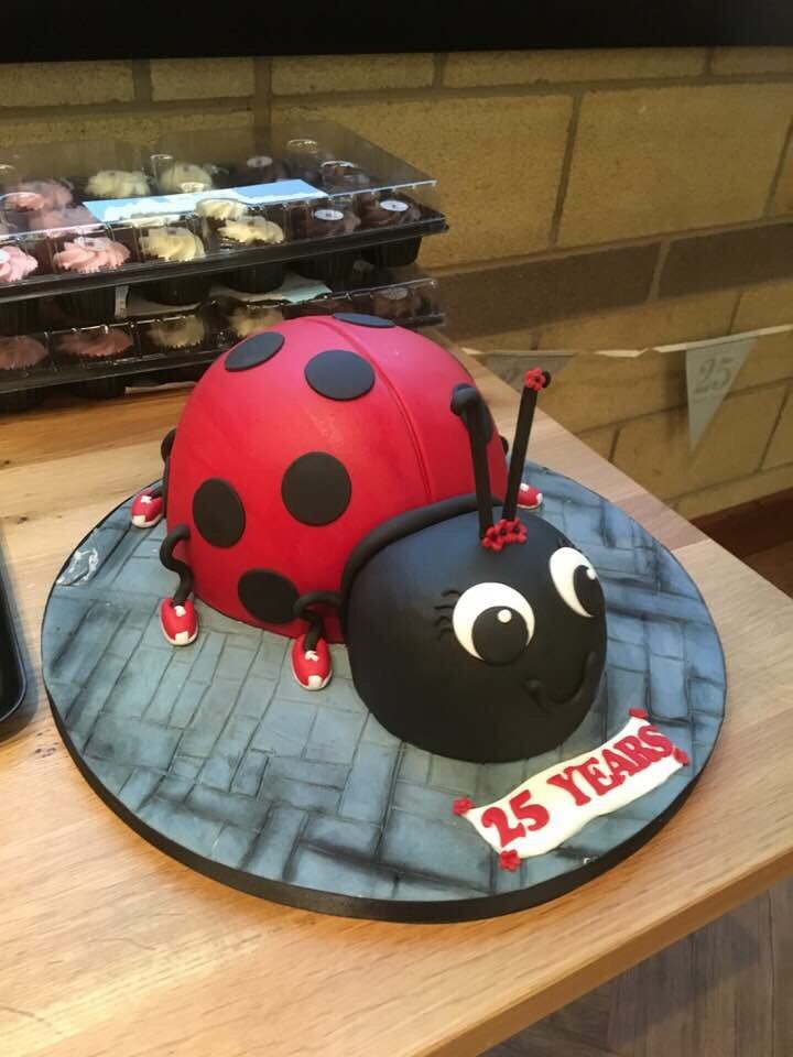 Ladybirds do cake 🤣🤣#25thanniversary