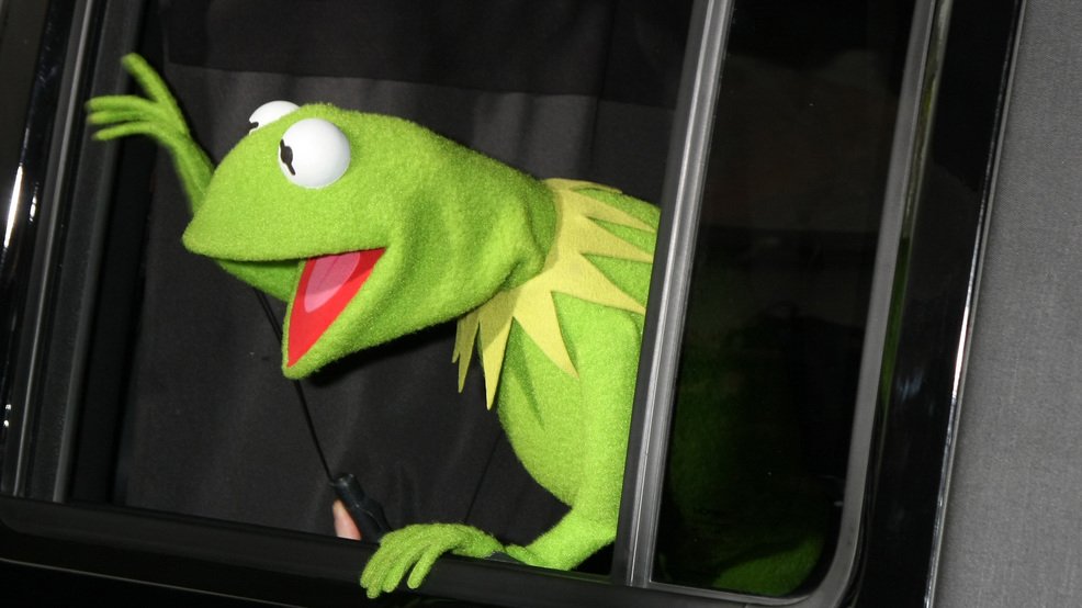 kermit the frog driving face