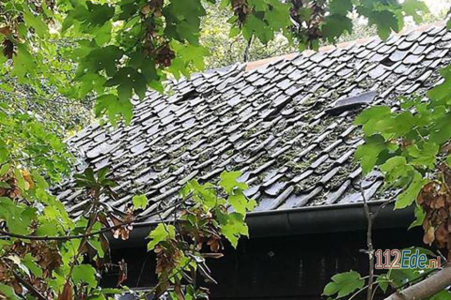 🚨 Lood gestolen vanaf schuur bij het Mobagat 112.press/Qkz0VN 112Ede https://t.co/1DghTy8tpL