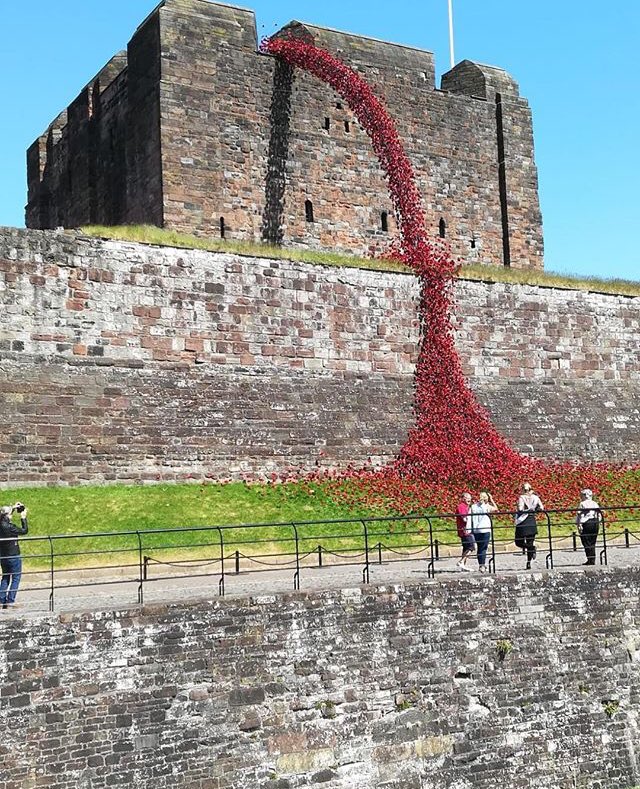 johnwatt_son's tweet photo. We are delighted that the #WeepingWindow #PoppyTour at #CarlisleCastle won #Event of The Year #CarlisleLivingAwards2018 It was truly spectacular! We thought to share again the fantastic #photo our #barista Sam had taken! 📷#Carlisle #Cumbria #Castle https://t.co/5Mi7eIvlZk