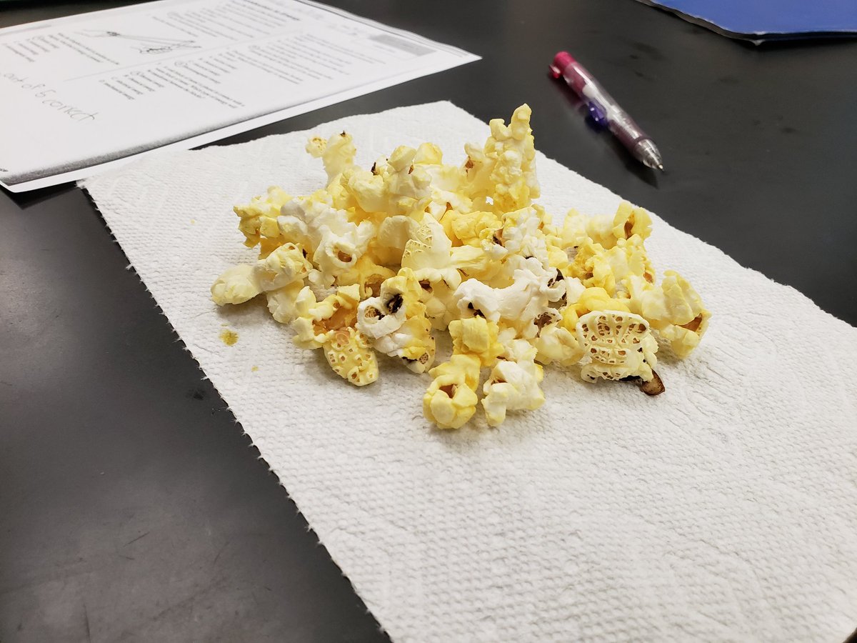 Creekside_Int's tweet photo. Learning and eating? Sign us up! Mrs. Betters' and Mrs. Gandy's classes learned about convection, conduction and radiation while enjoying popcorn! #CISLearns #CCISDLearns https://t.co/3mdLPczEER