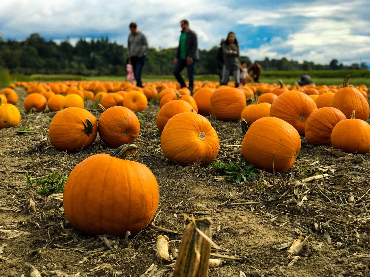 RellekeFarmsIL's tweet photo. Plan something fun for the school year this fall! We'll be offering tours from Tuesday through Friday starting on October 3rd. Give us a call for more details: (618) 797-6858 https://t.co/cr3aqDMipQ