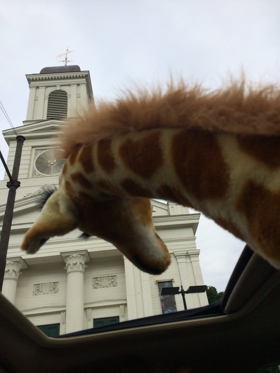 <a href="/henrybearspark/">Henry Bear's Park</a> 😂😂 Lola out the Sunroof is my new favorite band. #PARKingDay2018 #CambMA
