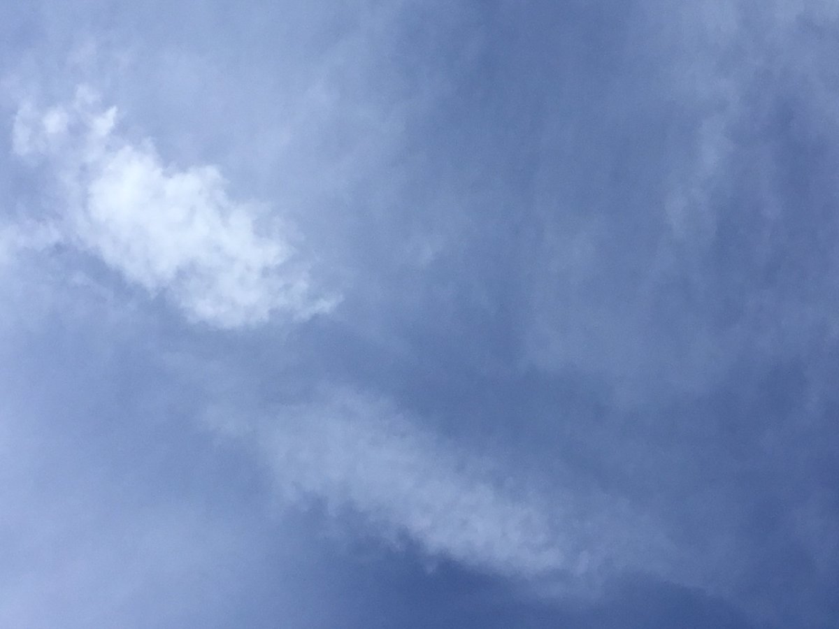 CPC_LFC's tweet photo. CPC du LFC
Sky Day project CP C #SkyDayProject #Lyceechicago https://t.co/SucY4qQX3t