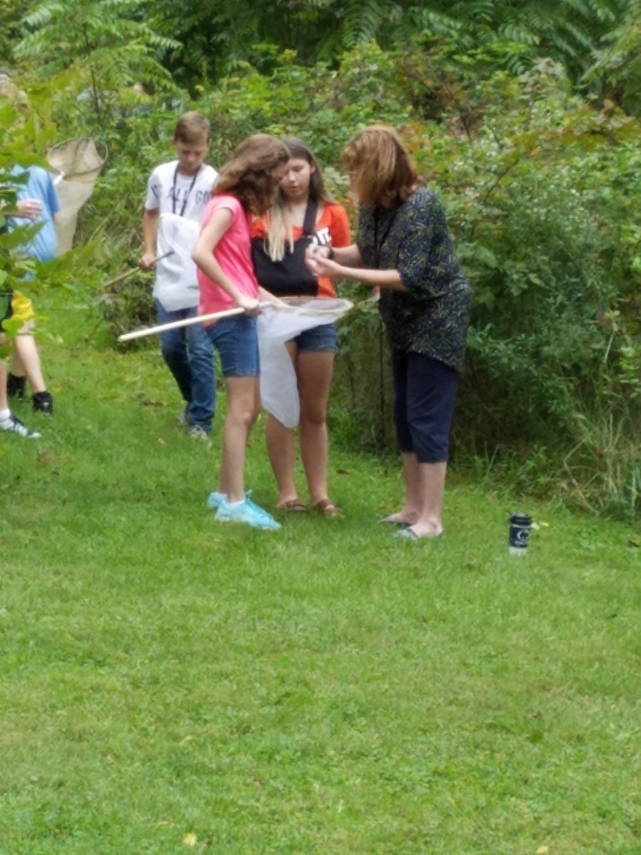 TracySilvis's tweet photo. Insect collecting today! Great to be outside on a Friday!  #JSAMSComeAlive #7thgradescience https://t.co/cV9dDi73Ke