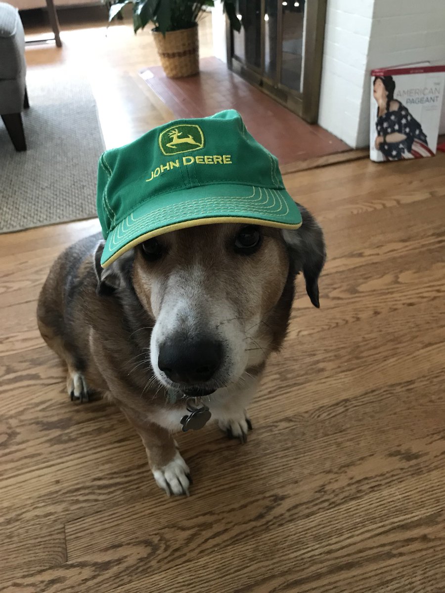 Murphy is in the running for @OWHPetParade best newsroom pet. So please show him some love. If you vote for him he’ll mow your lawn: omaha.com/pet-parade-the…