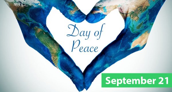 M.Y.S. Firm tweet media