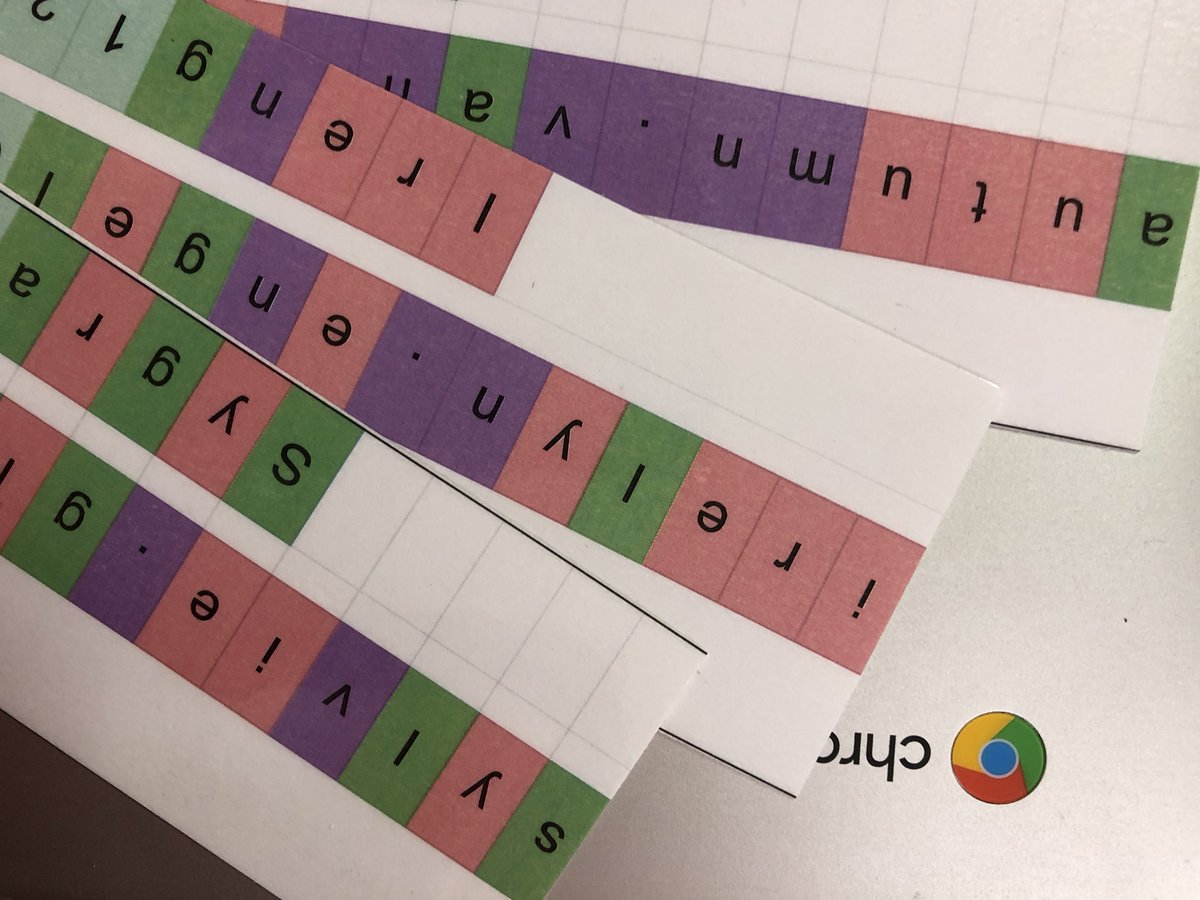 1st graders logged onto their chromebooks this week! #gafe4littles #colturechat