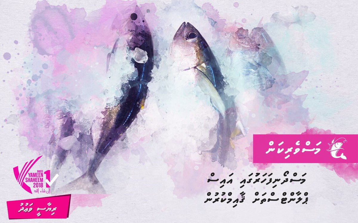 Raees Yameen ge riyaasee vaudhu thakuge hurihaa ves faidhaa eh othee hama thi lobuvethi rayyithunnah..
#EmmenEkakah

#ProgressShared
#YameenShaheem2018 
#CandidateNo_1✅