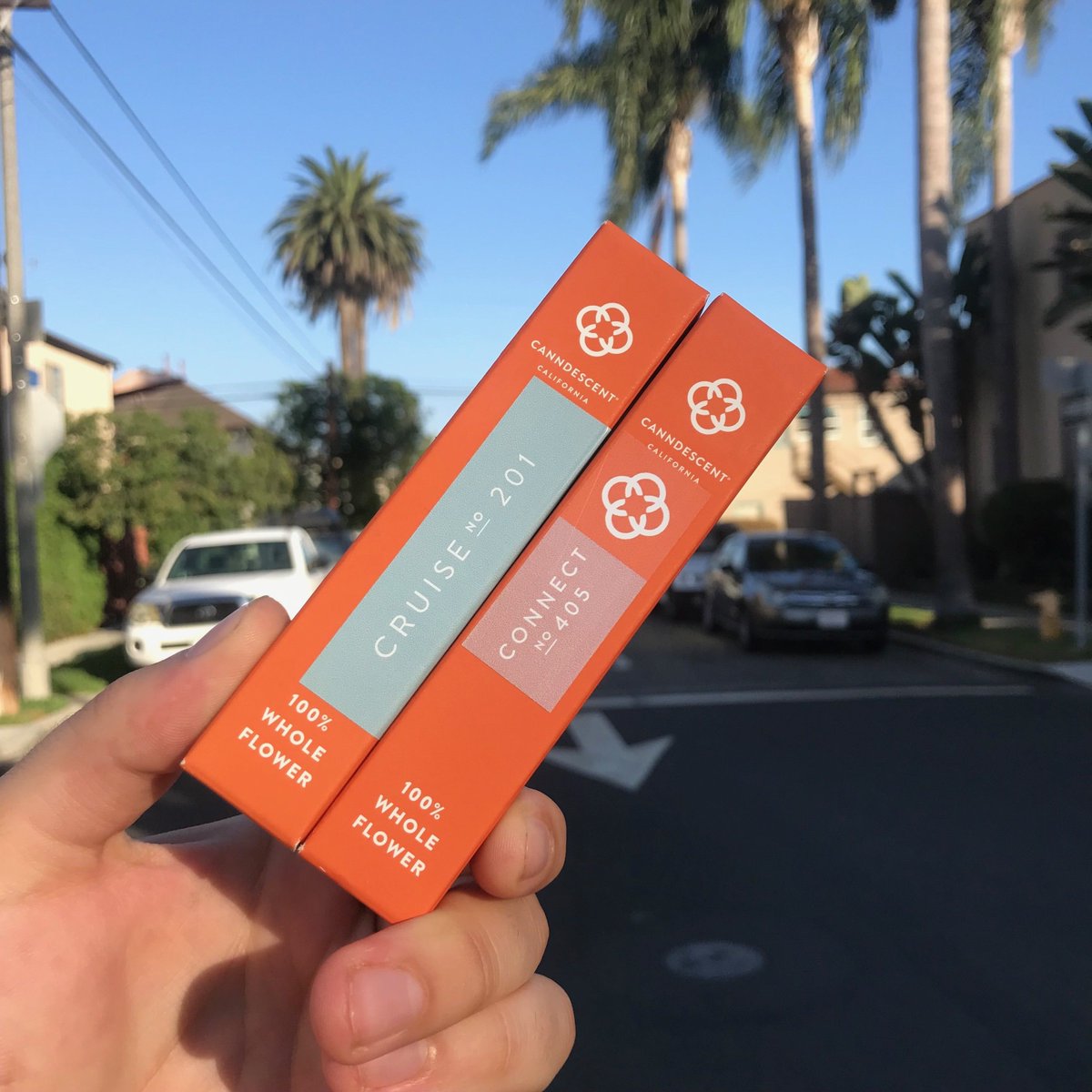 CrossTorrance's tweet photo. @CANNDESCENT is a cannabis-maker that specializes in creating specific experiences with their products. They have 5 of these Effects: Calm, Cruise, Create, Connect and Charge. 

#canndescent #cannabisflower https://t.co/GjIGBJS10k