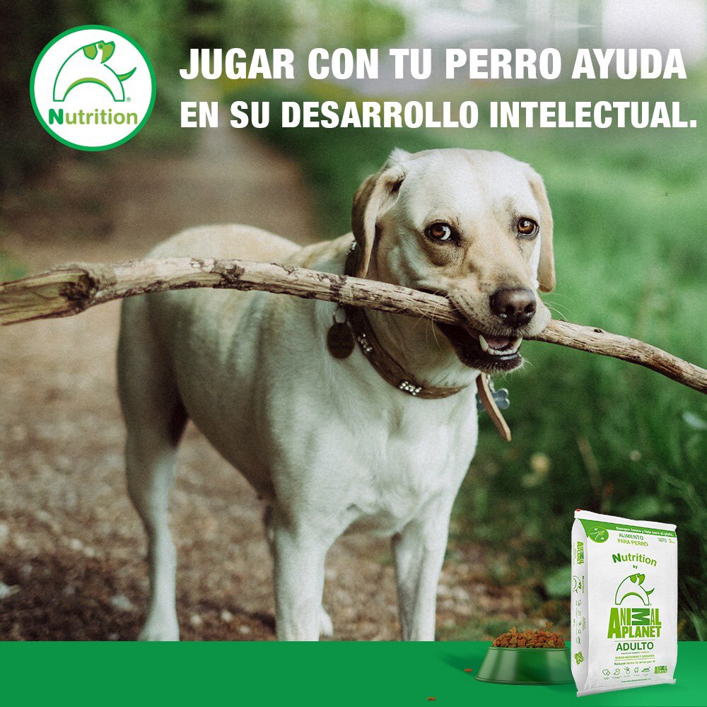 ap_mascotas's tweet photo. No solo nos preocupamos por su alimentación, también por consentirlos. https://t.co/NLSJRhOi3x