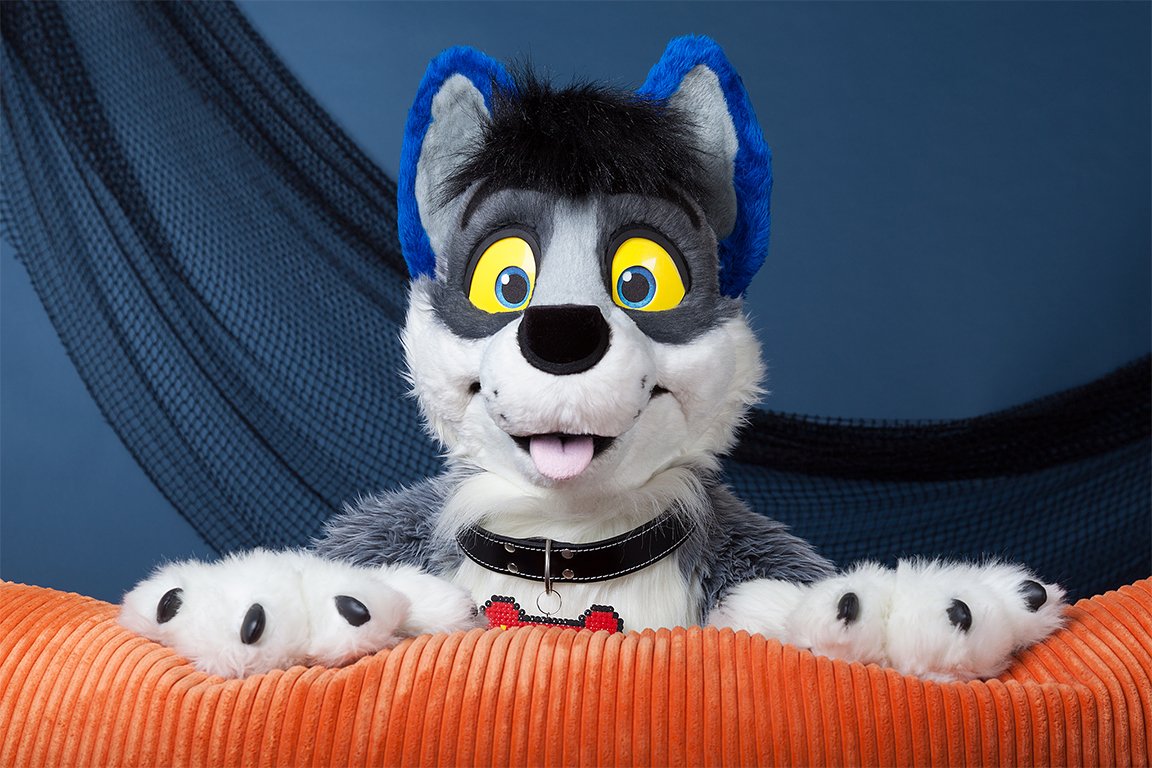 SugarLars's tweet photo. Bork! (photo by @NordicFuzzCon) #FursuitFriday #NFC2016 https://t.co/mWKDgACH1B