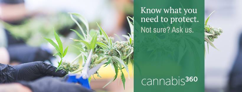 C360Insurance's tweet image. Do you need property insurance for your #Cannabusiness? If you value your equipment and business investment - yes!  Property Insurance covers losses to your property caused by fires, theft, damage from vehicles &amp;amp; more! Call us at 877.626.4741. #Cannabis #MMJ #Marijuana