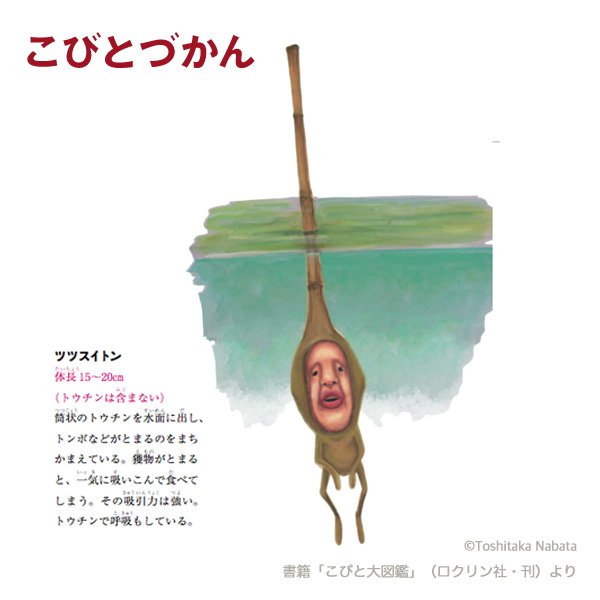 こびとづかん公式 15周年 Pe Twitter 1日1コビト紹介 ツツスイトン トウチン はすべてのコビト の頭についている大切な器官です 食べる 飛ぶ 狩りをするなど コビトの種類により機能はさまざまです 忍者が使う 水遁の術 はとても肺活量のいる高度な技の こびとづかん公式 15周年 Pe Twitter 1日1コビト紹介 ツツスイトン トウチン はすべてのコビト の頭についている大切な器官です 食べる 飛ぶ 狩りをするなど コビトの種類により機能はさまざまです 忍者が使う 水遁の術 はとても肺活量のいる高度な技の