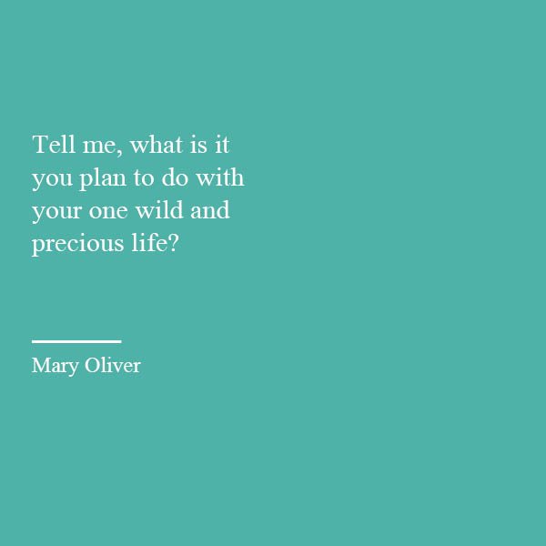Take some time today to think of what you want to do with this gift of life that you've been given . . . and then get out there and live it! #qotd #wildandprecious #maryoliver