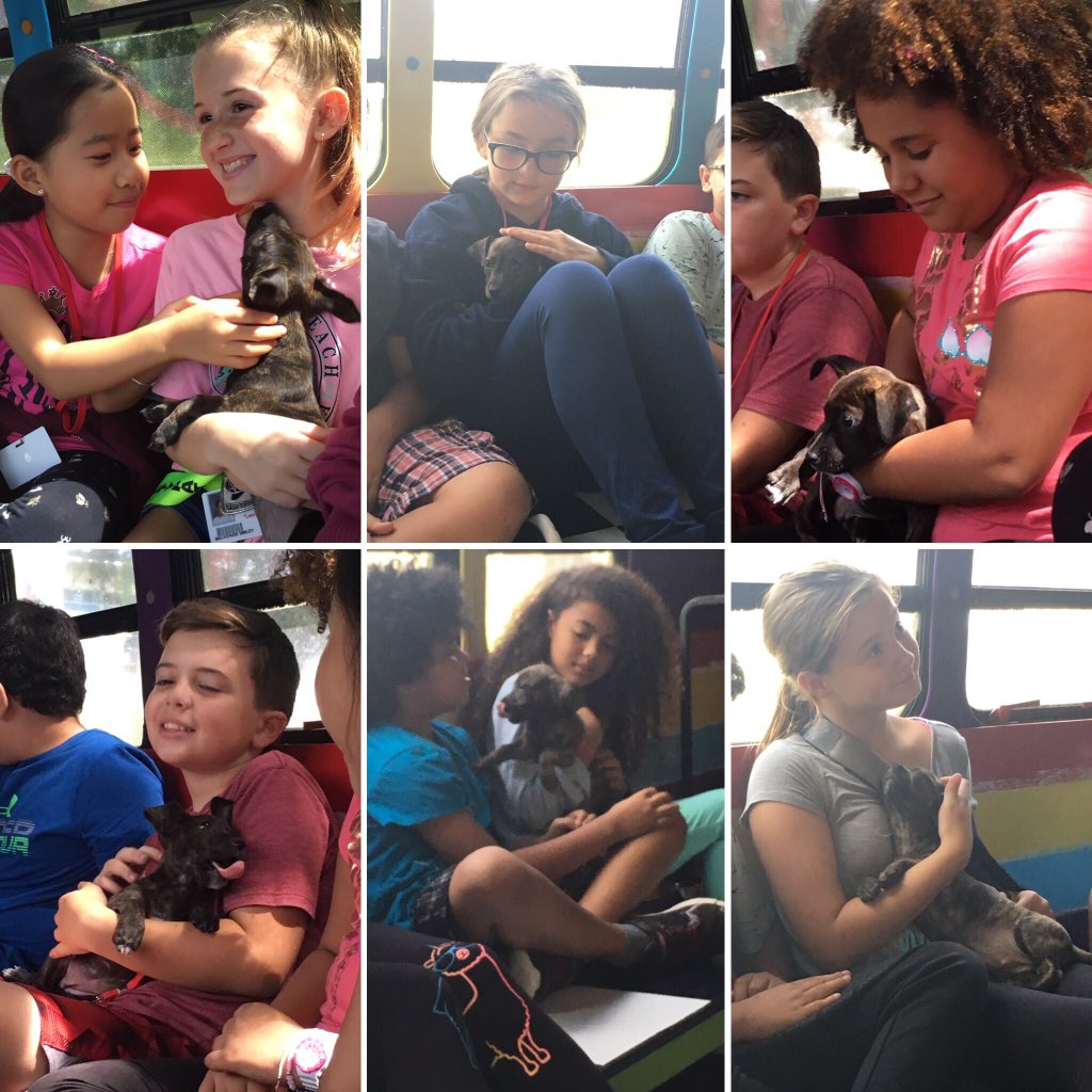 kristycraig87's tweet photo. Great Fri-Yay @BelleviewSantos!! Learners first and celebrating each other! Sweet learners who make us love each day!  #barkbus #RockYourSchool https://t.co/omP4UbZDrx