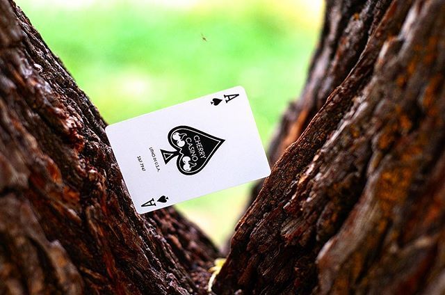 RareDecks's tweet photo. If you had the choice, what color would you want the next Cherry Casino deck to be? Let us know in the comments below!
#playingcards #magic #cardistry #cherrydeck #cherrycasino #rareplayingcards #rpcmagic #poker #cardart #cardporn #cardcollection #cardcollector https://t.co/8tBwwMyFxu