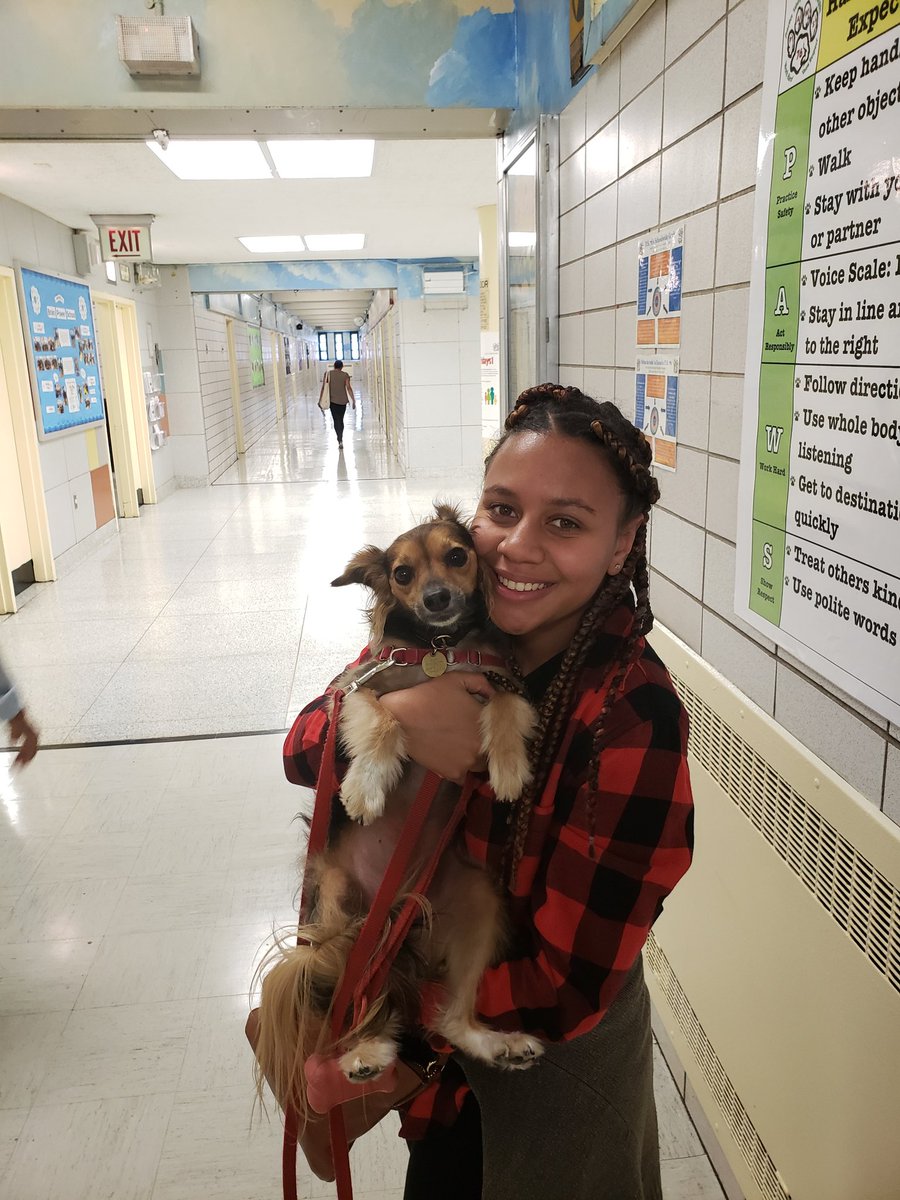 Juno is back in school! I've missed her so much! Her comfort was much needed today!!! <a href="/Juno76Q/">Juno</a> #comfortdog <a href="/76q/">o</a>